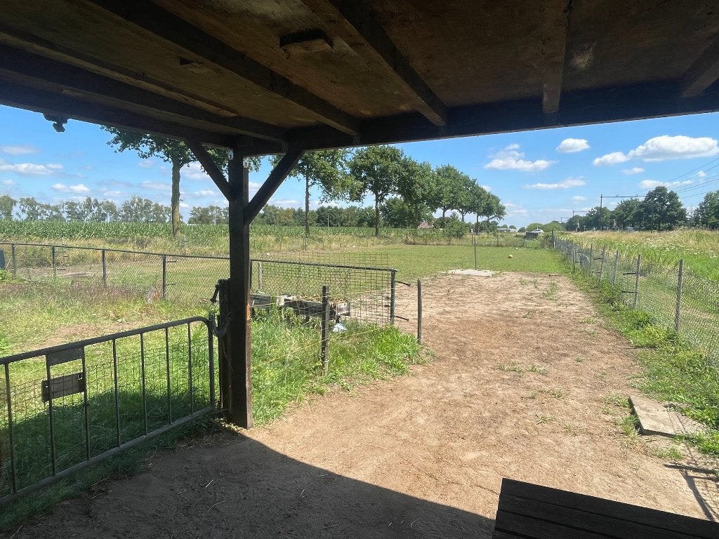 Wei /pony wei / honden wei te huur 1010m2 in Horst, Weidegang