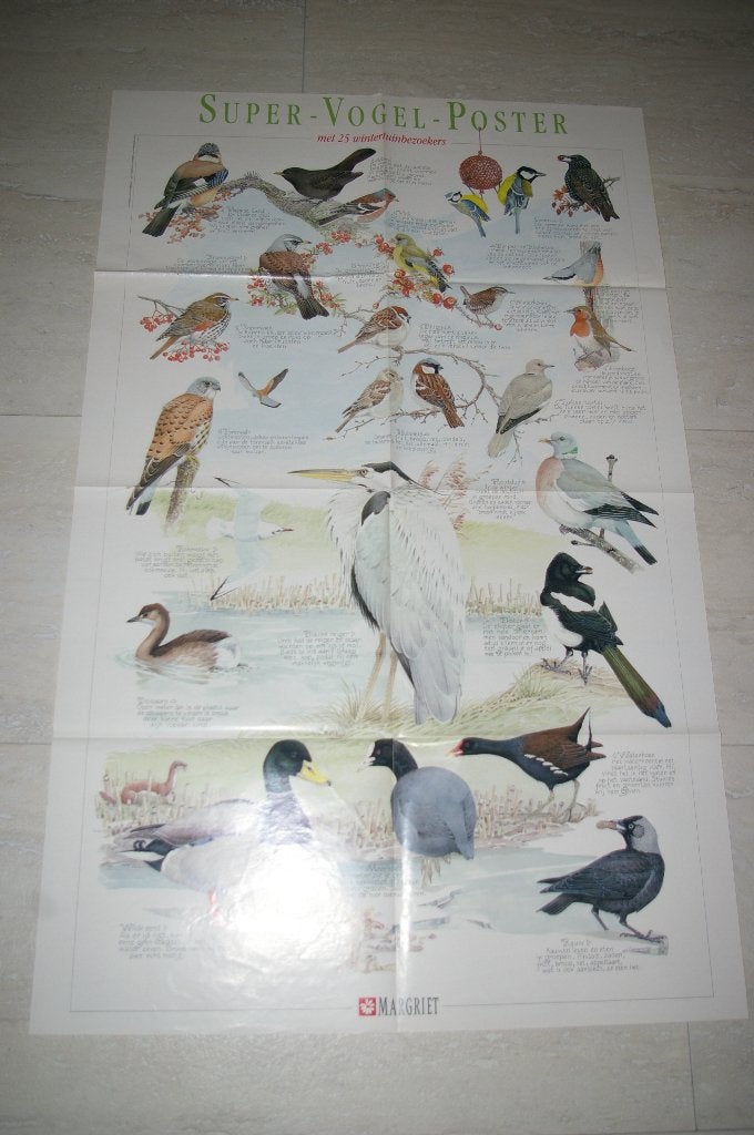 Super Vogel poster / Super Vogels & Nesten Z.g.a.n., Verzamelen, Ophalen of Verzenden, Zo goed als nieuw, A1 t/m A3, Dier of Natuur