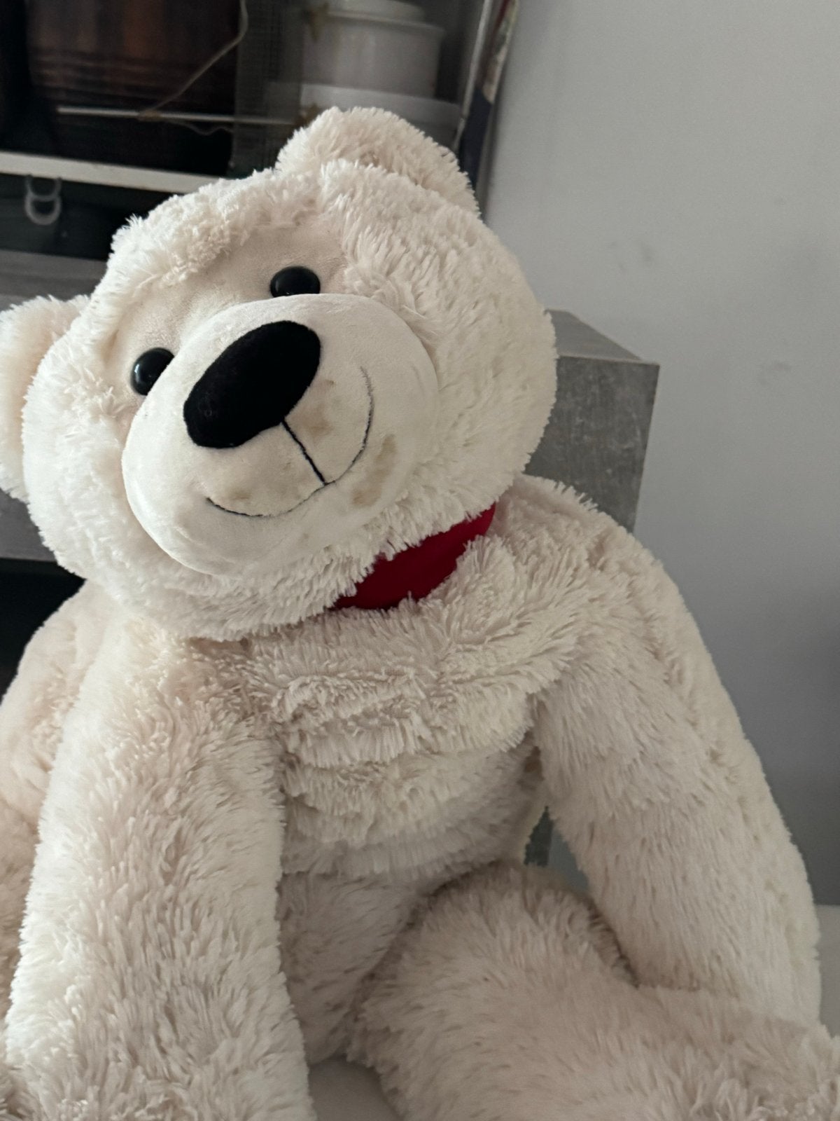 Grote zachte knuffelbeer - Wit en Bruin, Ophalen, Gebruikt, Beer, Middelgroot (20 tot 80 cm)