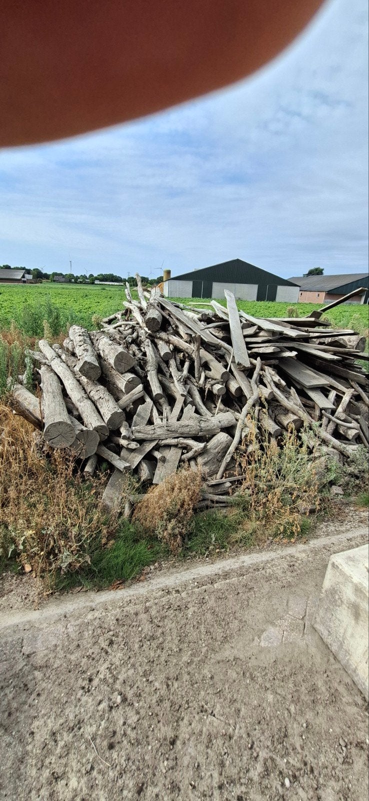 Stammen en takken voor kachel hout, 6 m³ of meer, Ophalen of Verzenden, Eikenhout, Stammen