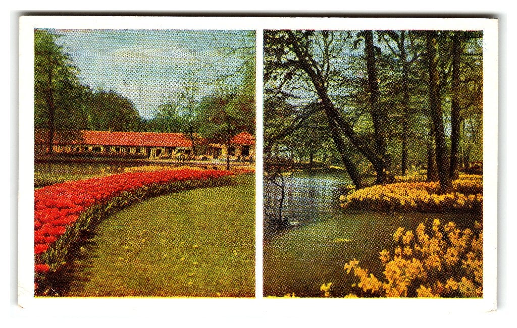 Lisse, "Keukenhof" Opruimingskaart, Verzenden, 1960 tot 1980, Gelopen, Zuid-Holland