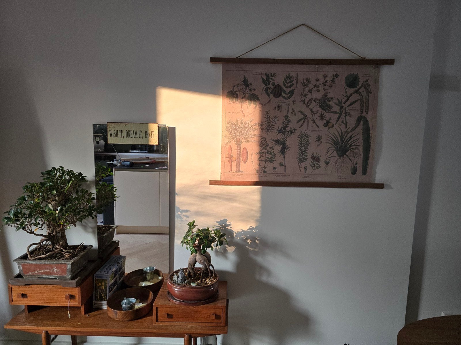Authentieke schoolplaat planten - Mooi decoratief, Ophalen of Verzenden, Natuur en Biologie
