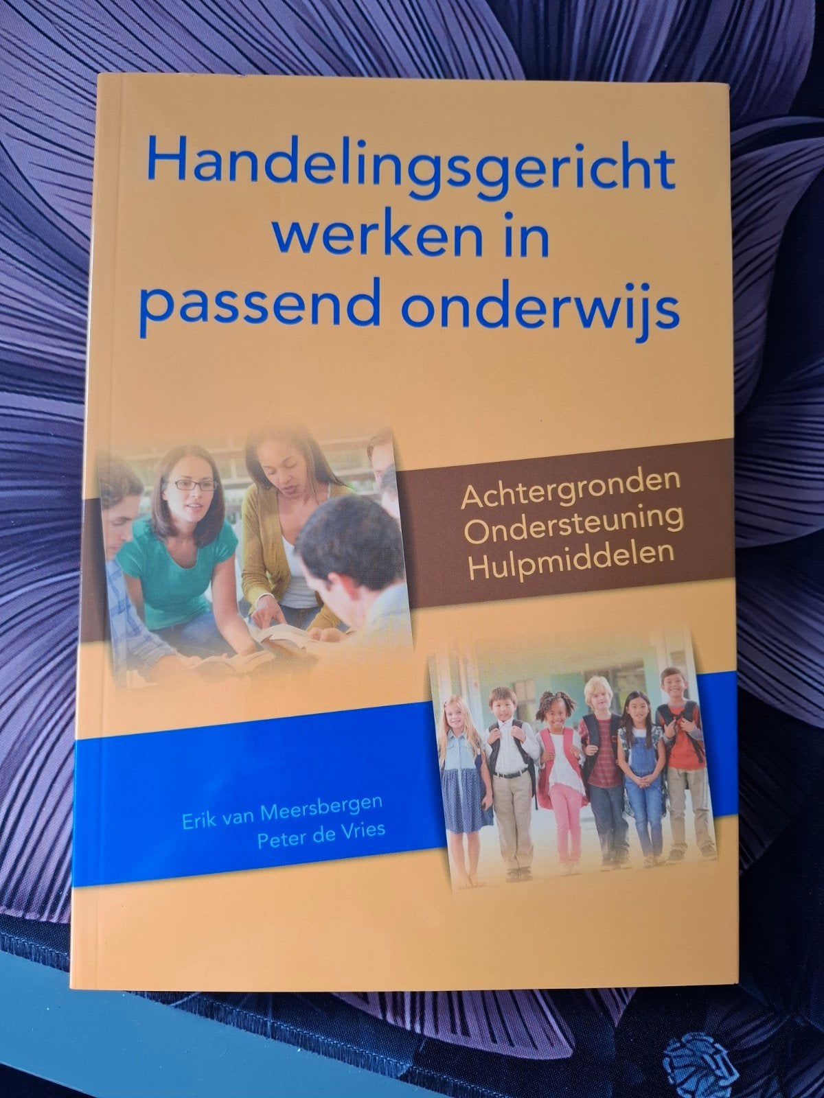 Handelingsgericht werken in passend onderwijs, Boeken, Sociale wetenschap, Erik van Meersbergen; Peter de Vries, Ophalen of Verzenden