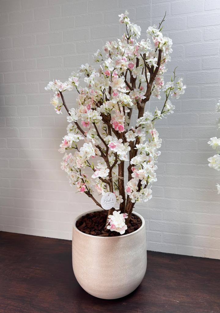 Essence Blossom, Ophalen, Nieuw