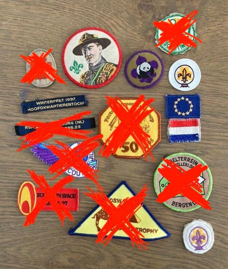 Scouting Emblemen en Insignes (Vintage), Ophalen of Verzenden, Zo goed als nieuw, Embleem, Speld of Insigne