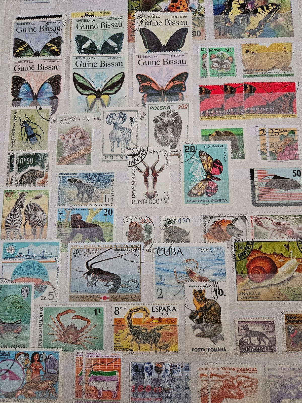 vogelpostzegels, Ophalen of Verzenden, Gestempeld, Dier of Natuur