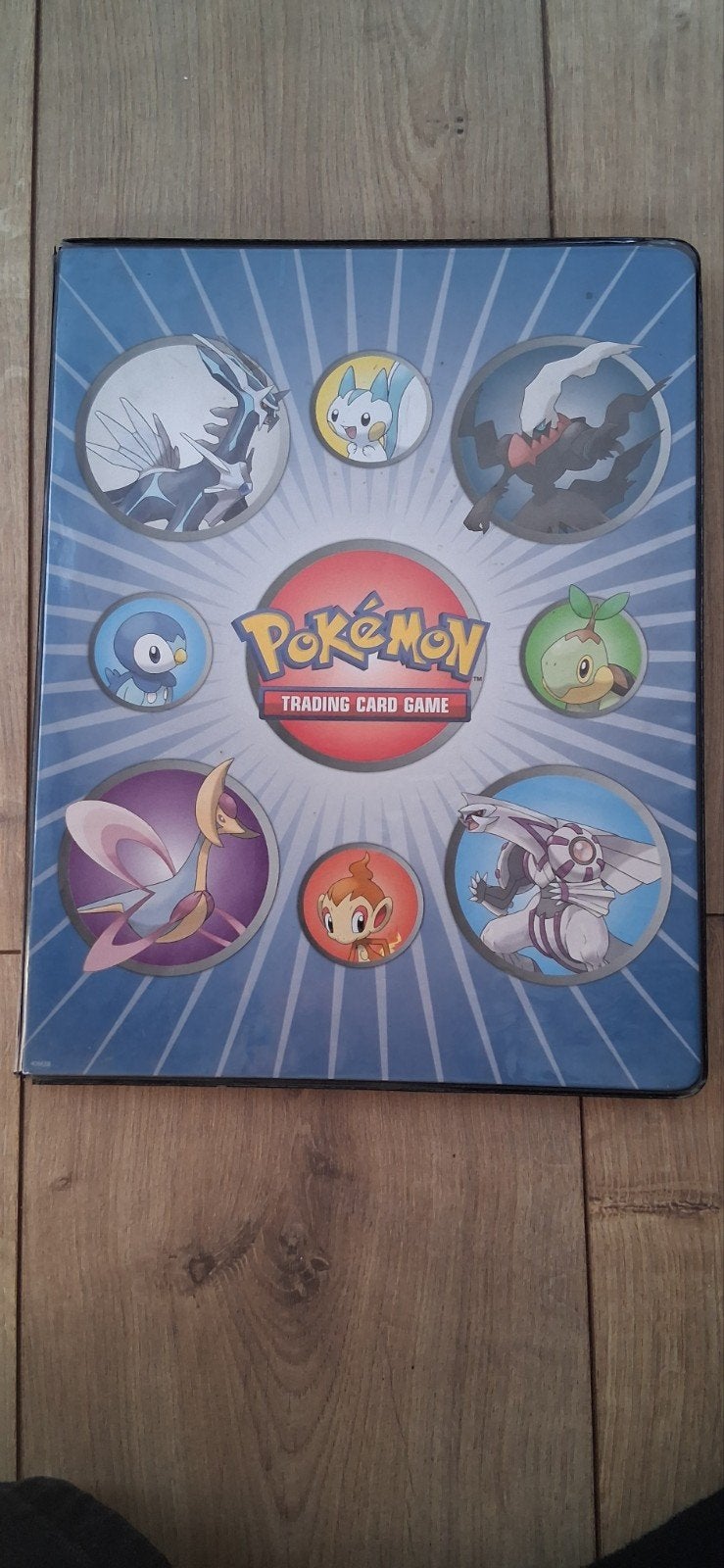 Map met mooie diverse pokemon kaarten, Ophalen of Verzenden, Gebruikt, Boek of Catalogus, Foil