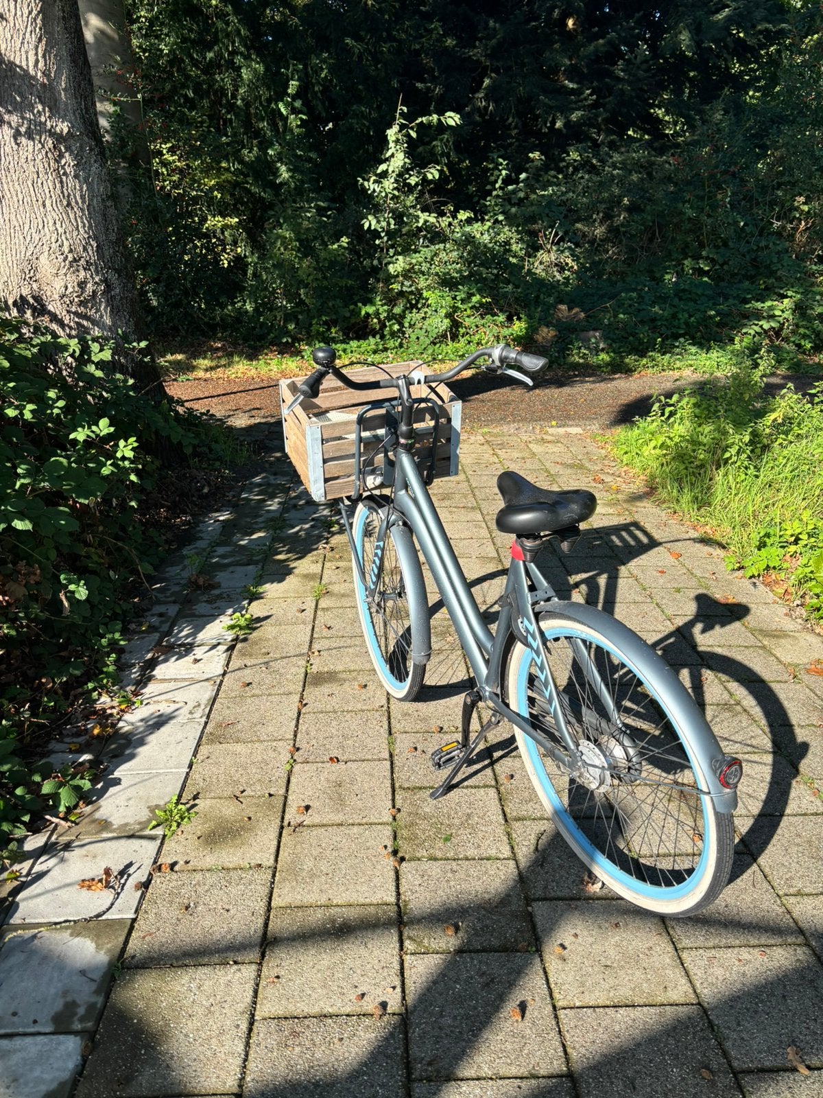 Cortina damesfiets, Terugtraprem, Gebruikt, Versnellingen, Ophalen