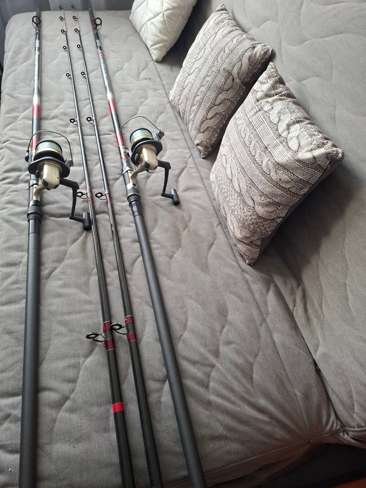 Nieuwe Daiwa Procaster Werphengels, Ophalen of Verzenden, Nieuw, Complete hengel