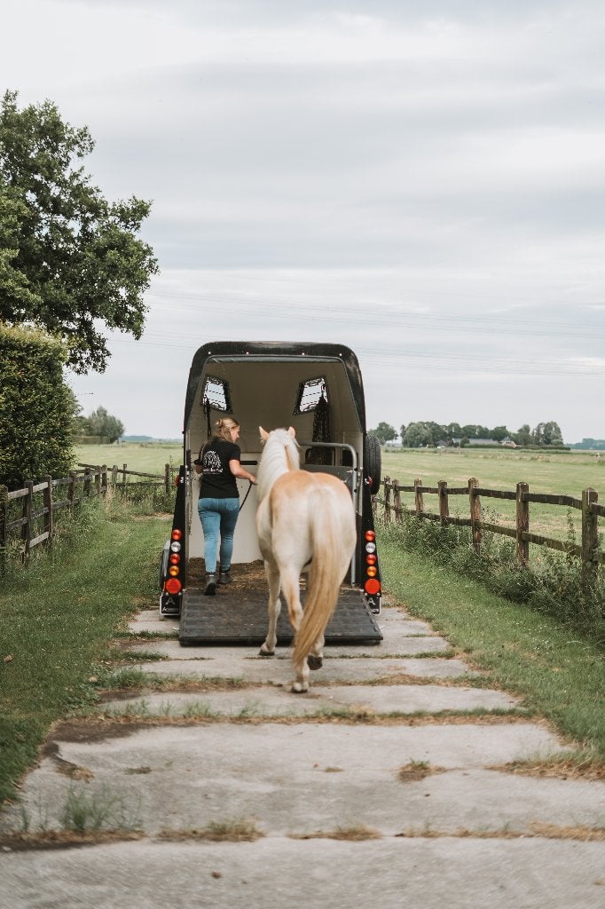 Trailerladen lessen, Gedragstraining