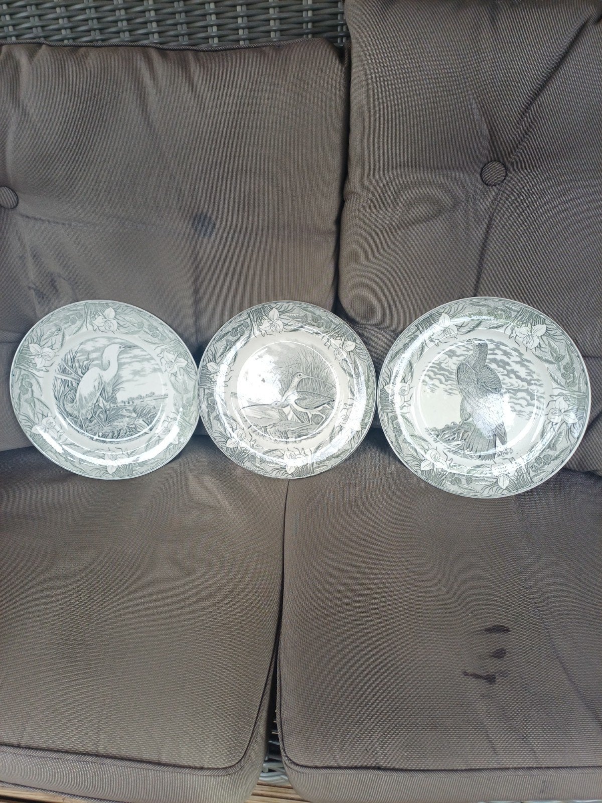 3 oude vogel bordjes, Ophalen