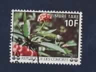 Fauna - Dieren - Kameleon - Comoren - gebr, Verzenden, Gestempeld, Dier of Natuur