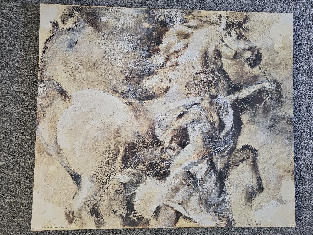 decoratie plank, Ophalen, Gebruikt, 75 tot 100 cm, Print