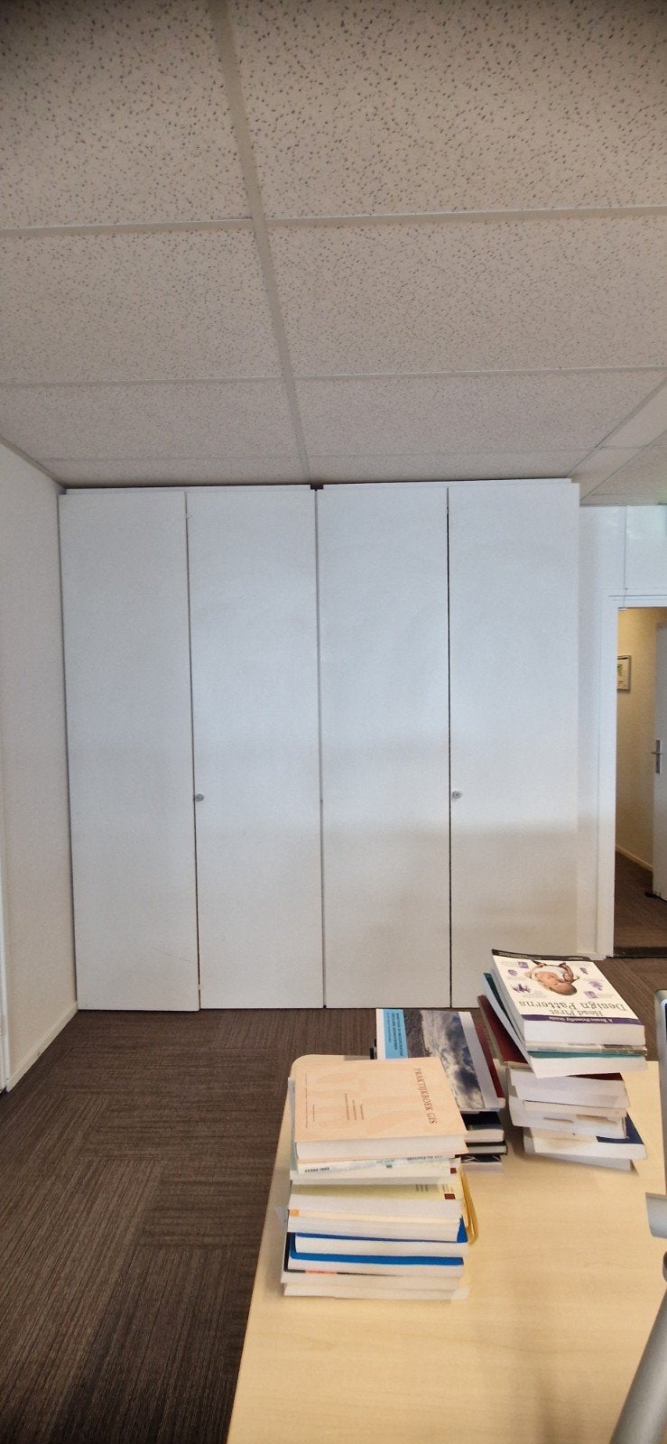 Hoge ijzeren kast 250 bij 120 (2 stuks), Huis en Inrichting, Kasten | Kledingkasten, Ophalen, 200 cm of meer, 50 tot 100 cm, Zo goed als nieuw