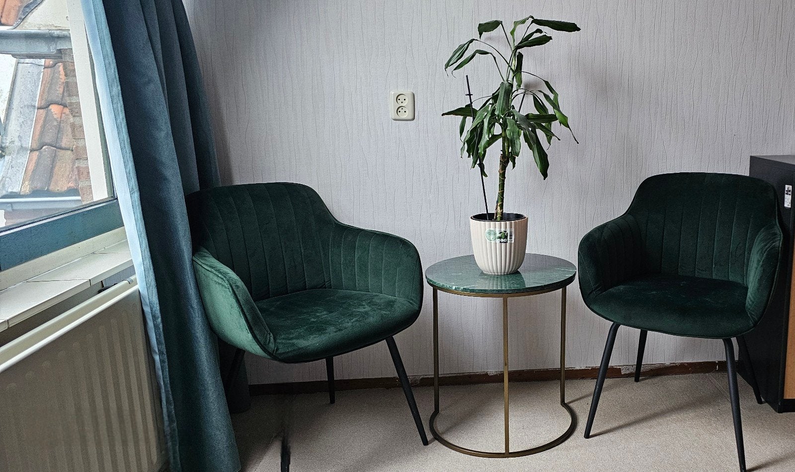 Twee stoelen, Tafel en plant, Ophalen, Twee, Overige kleuren, Zo goed als nieuw
