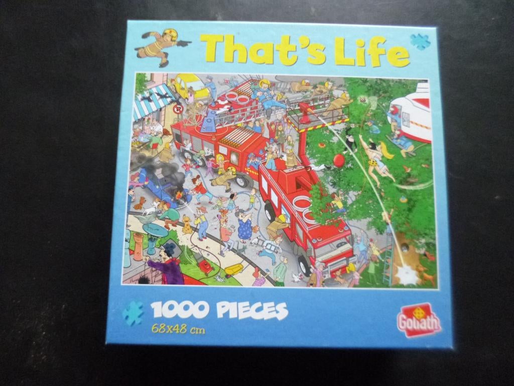 Legpuzzels 1000 stukjes, Ophalen of Verzenden, 500 t/m 1500 stukjes, Zo goed als nieuw, Legpuzzel