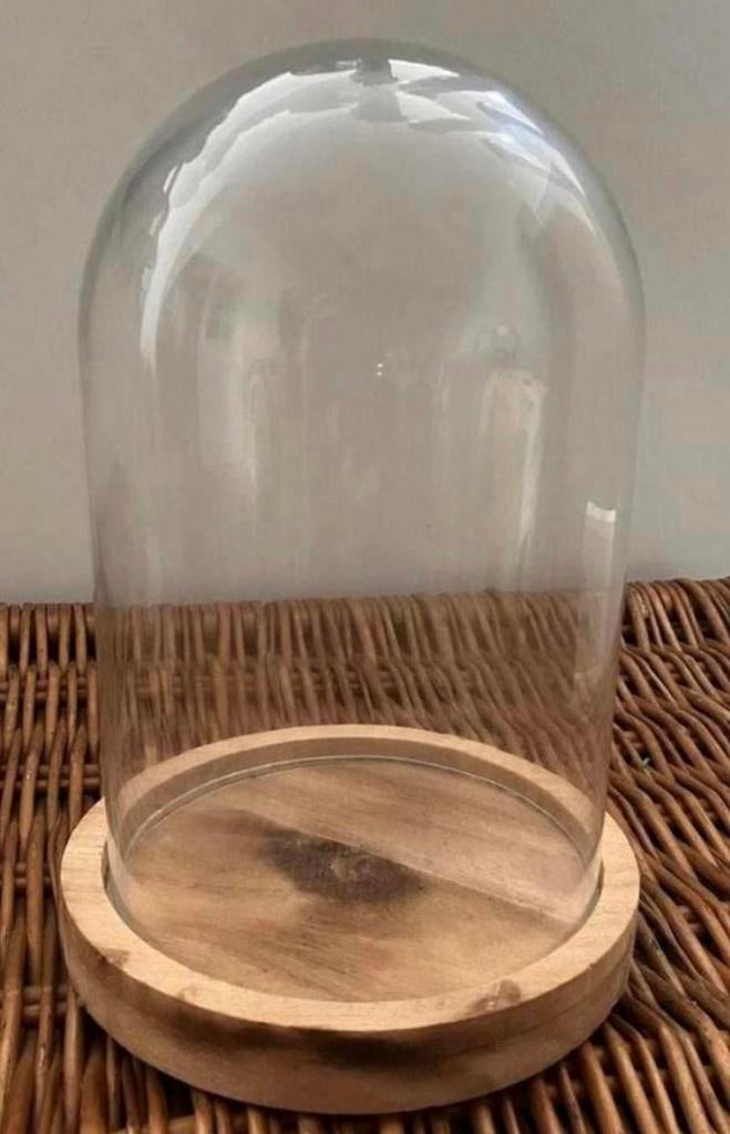 Glazen stolp om beeld in te plaatsen 31 cm hoog, Ophalen of Verzenden