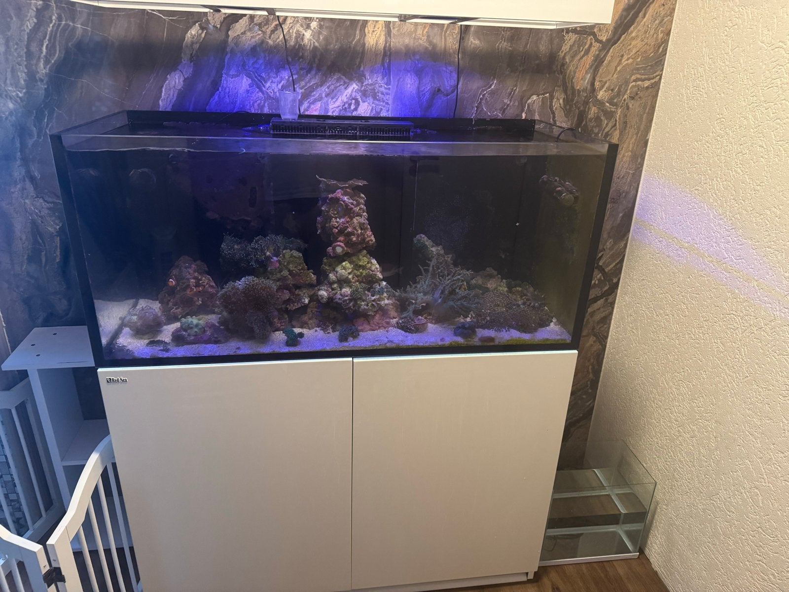 Red sea 350 g2, Dieren en Toebehoren, Vissen | Aquaria en Toebehoren, Ophalen, Red Sea, Gevuld zeewateraquarium, Zo goed als nieuw