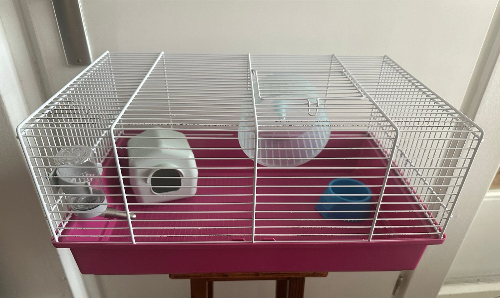 Kleine knaagdieren kooi met toebehoren, Kooi, Zo goed als nieuw, Ophalen, Minder dan 60 cm