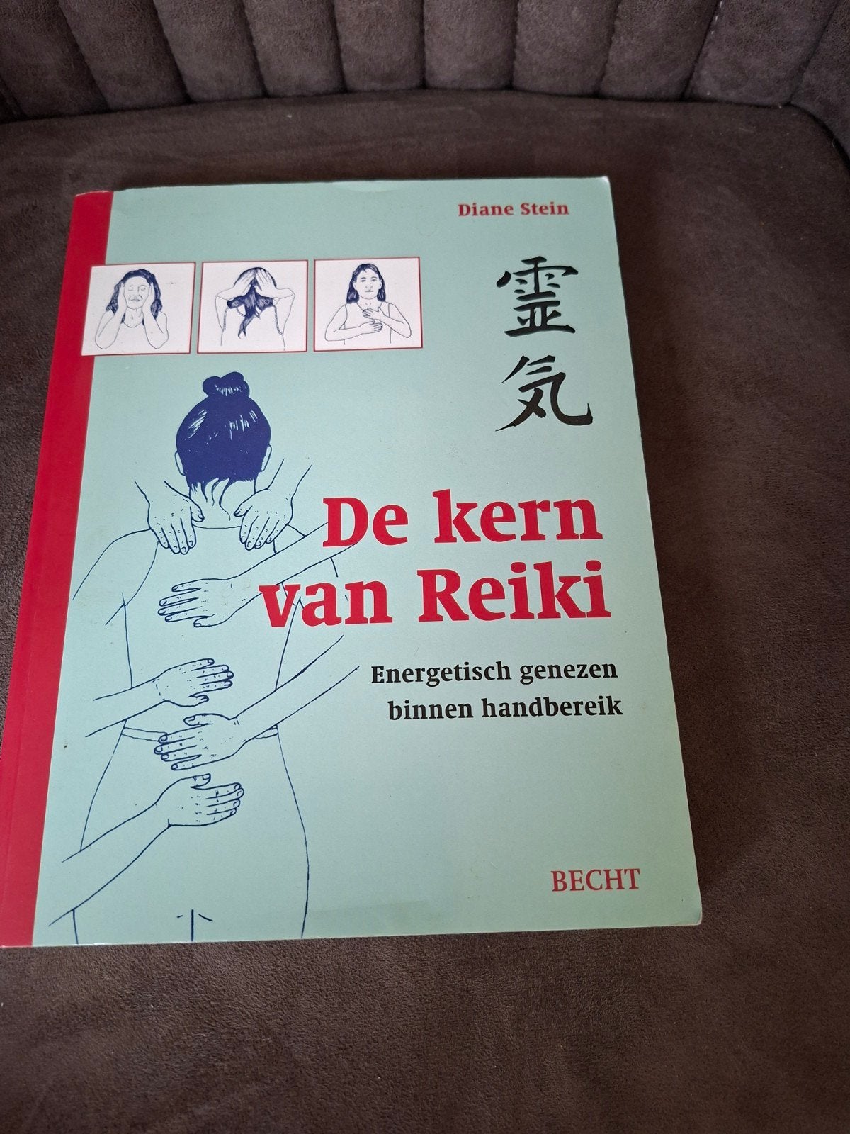 De kern van Reiki - Energetisch genezen binnen handbereik, Ophalen of Verzenden, Gelezen