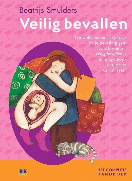 Veilig bevallen Beatrijs Smulders, Ophalen of Verzenden, Gelezen, Zwangerschap en Bevalling