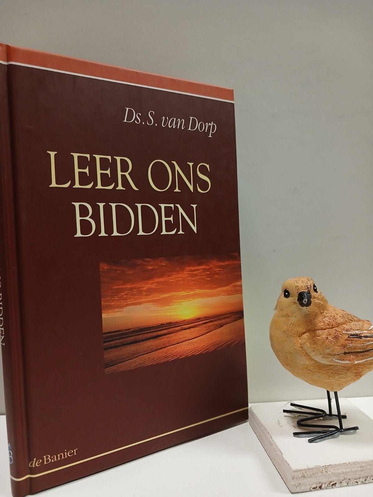 Dorp, Ds. S. van; Leer ons bidden, Ophalen of Verzenden, Gelezen, Christendom | Protestants