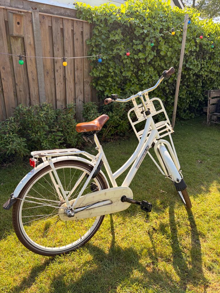 Damesfiets met voordrager - Wit, Terugtraprem, 50 tot 53 cm, Ophalen, Overige merken