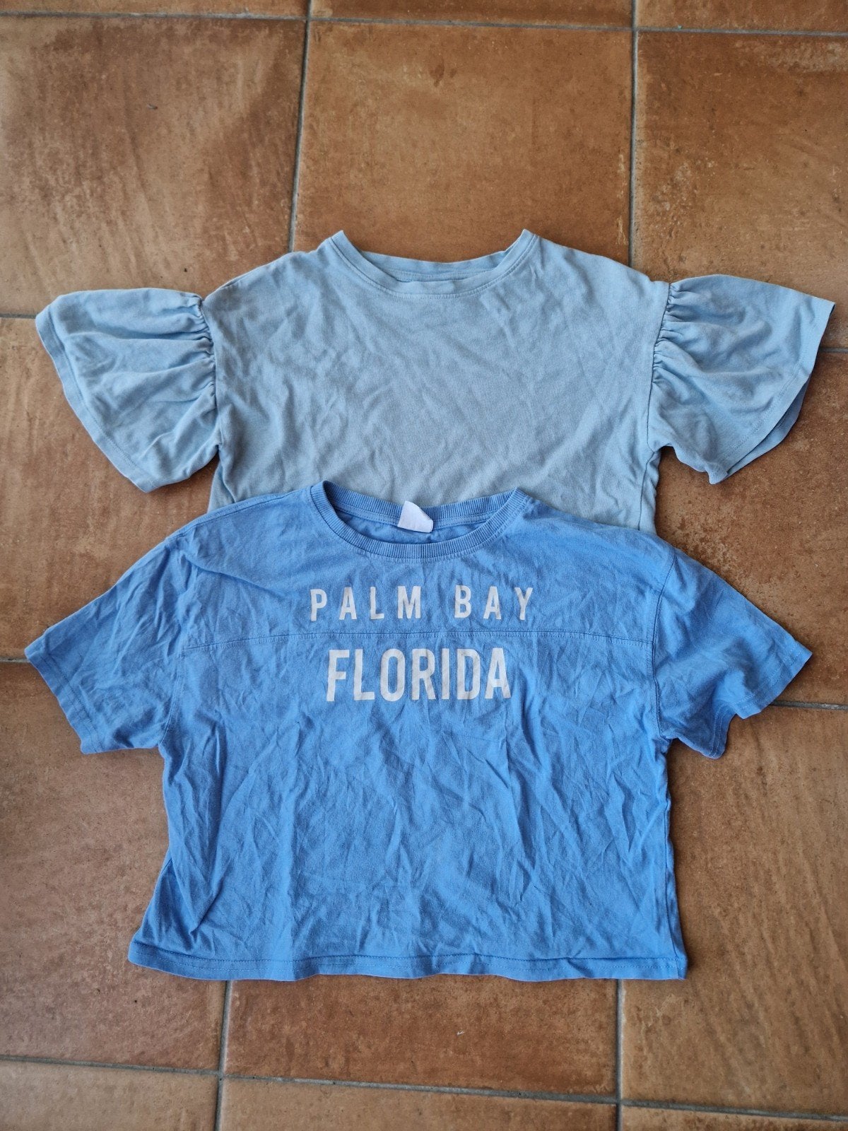 2x Zara T-shirts maat 152 (11-12 jaar), Kinderen en Baby's, Kinderkleding | Maat 152, Gebruikt, Meisje, Ophalen of Verzenden, Zara