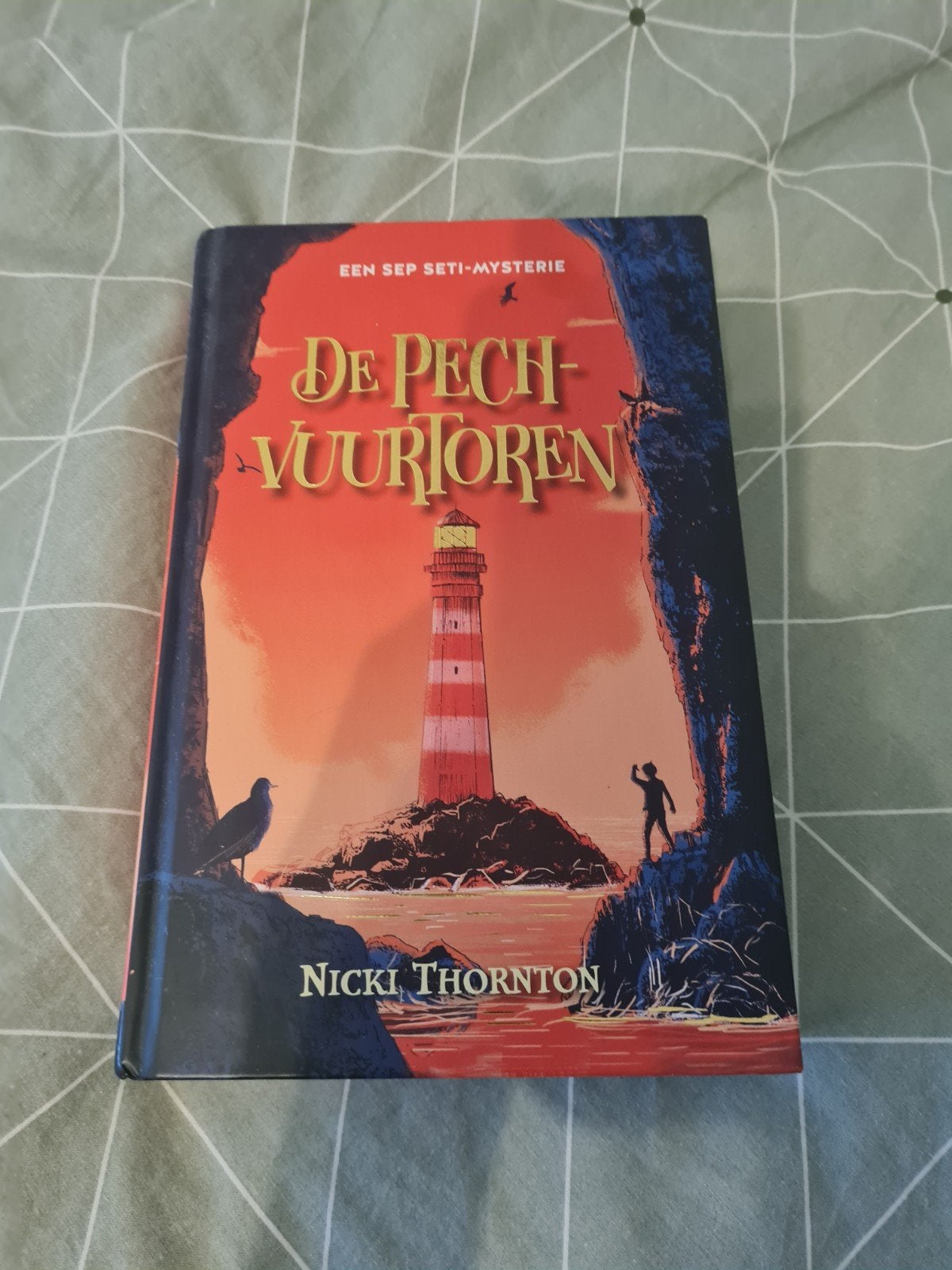 de pech vuurtoren van nicki thornton, Ophalen of Verzenden