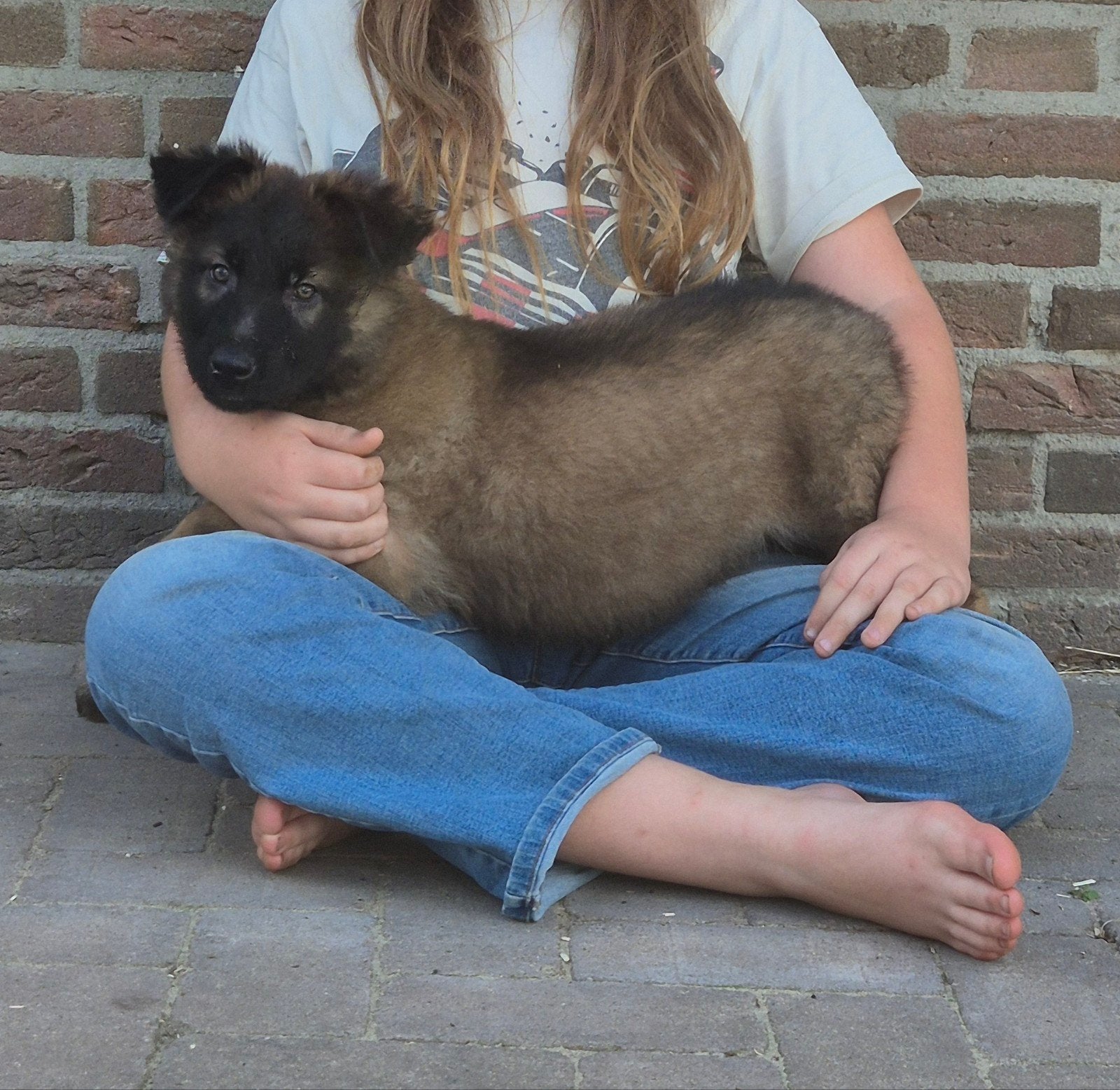 Mechelse herder X Duitse herder pups, Dieren en Toebehoren, Honden | Herdershonden en Veedrijvers, Parvo, 8 tot 15 weken, Meerdere