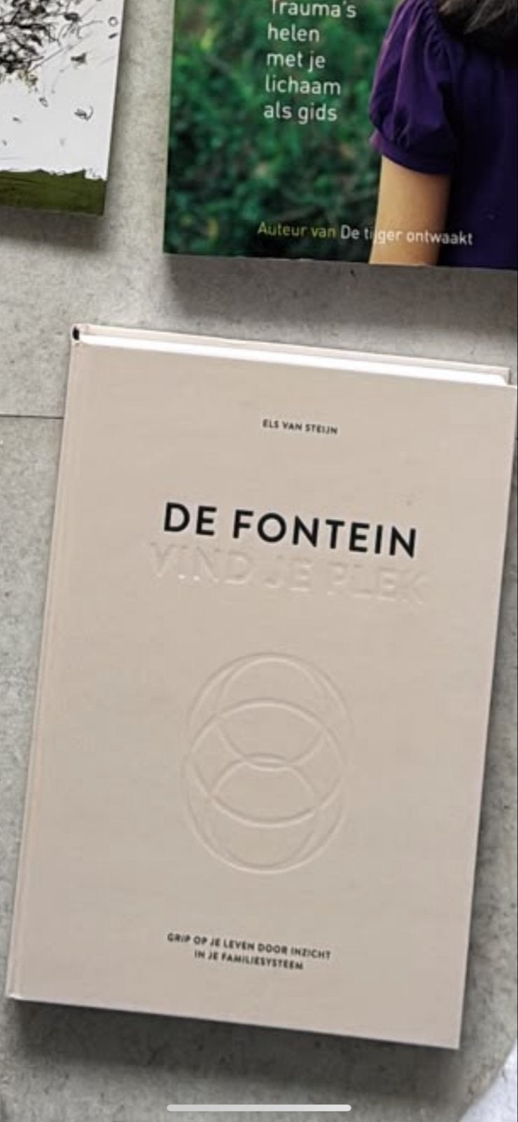 De Fontein: Vind je plek - Els van Steijn, Boeken, Ophalen of Verzenden, Zo goed als nieuw, Nederland