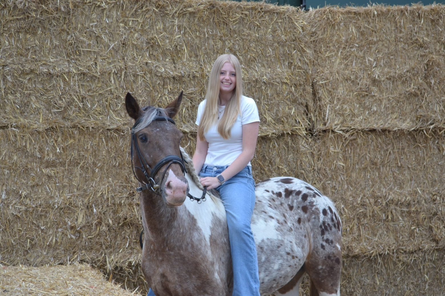 verzorg/lease pony/paard gezocht verzorger aangeboden!, Ophalen of Verzenden, Zo goed als nieuw