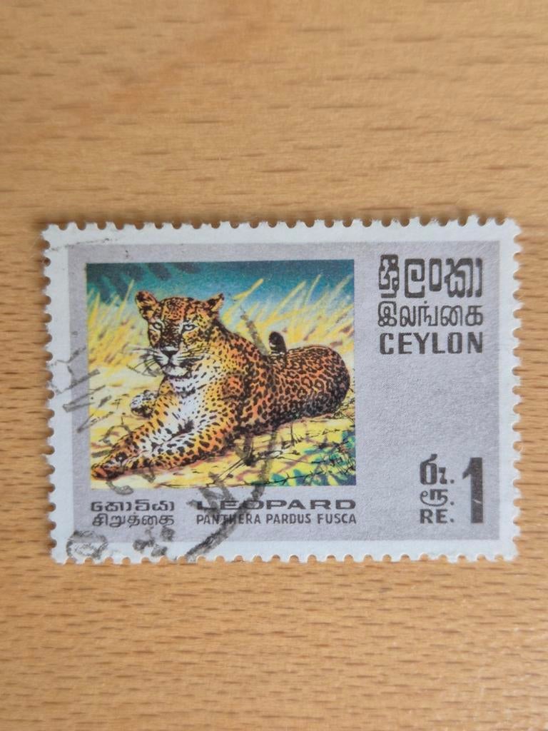 Ceylon 1970 luipaard, Postzegels en Munten, Postzegels | Azië, Ophalen of Verzenden, Gestempeld, Zuid-Azië