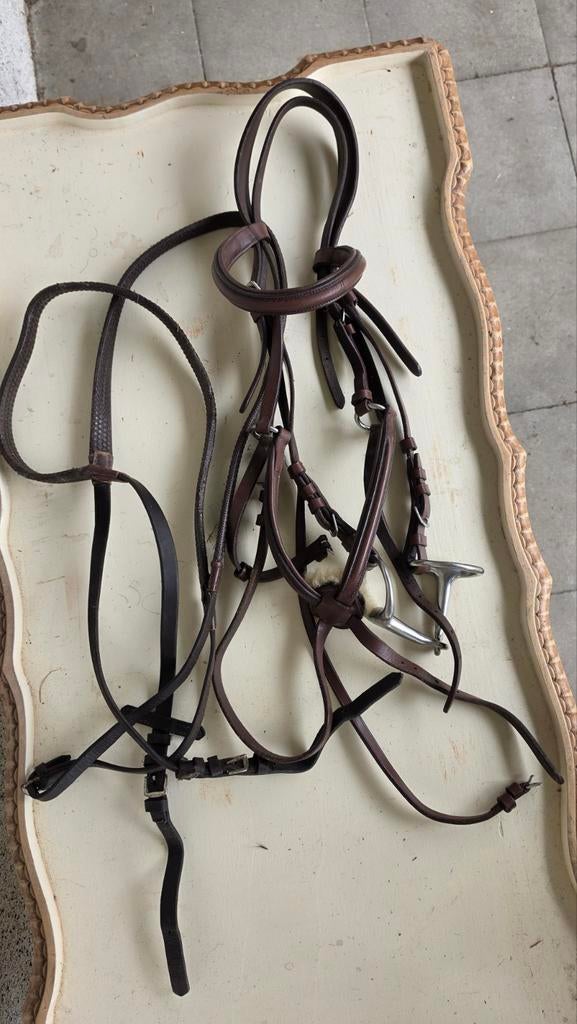 Paarden (spring)hoofdstel met bit en teugels, Ophalen, Springen