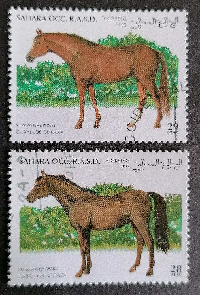 WESTELIJKE SAHARA - paarden 1995, Ophalen of Verzenden, Gestempeld, Midden-Oosten