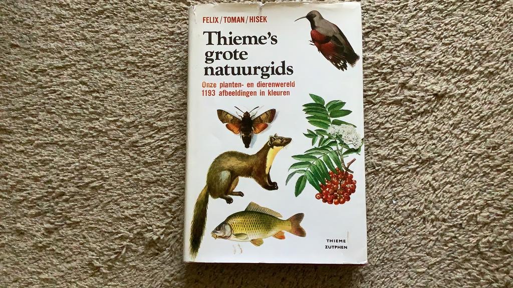 Thieme’s grote natuurgids, 1978, Boeken, Natuur, Ophalen of Verzenden, Zo goed als nieuw, Natuur algemeen