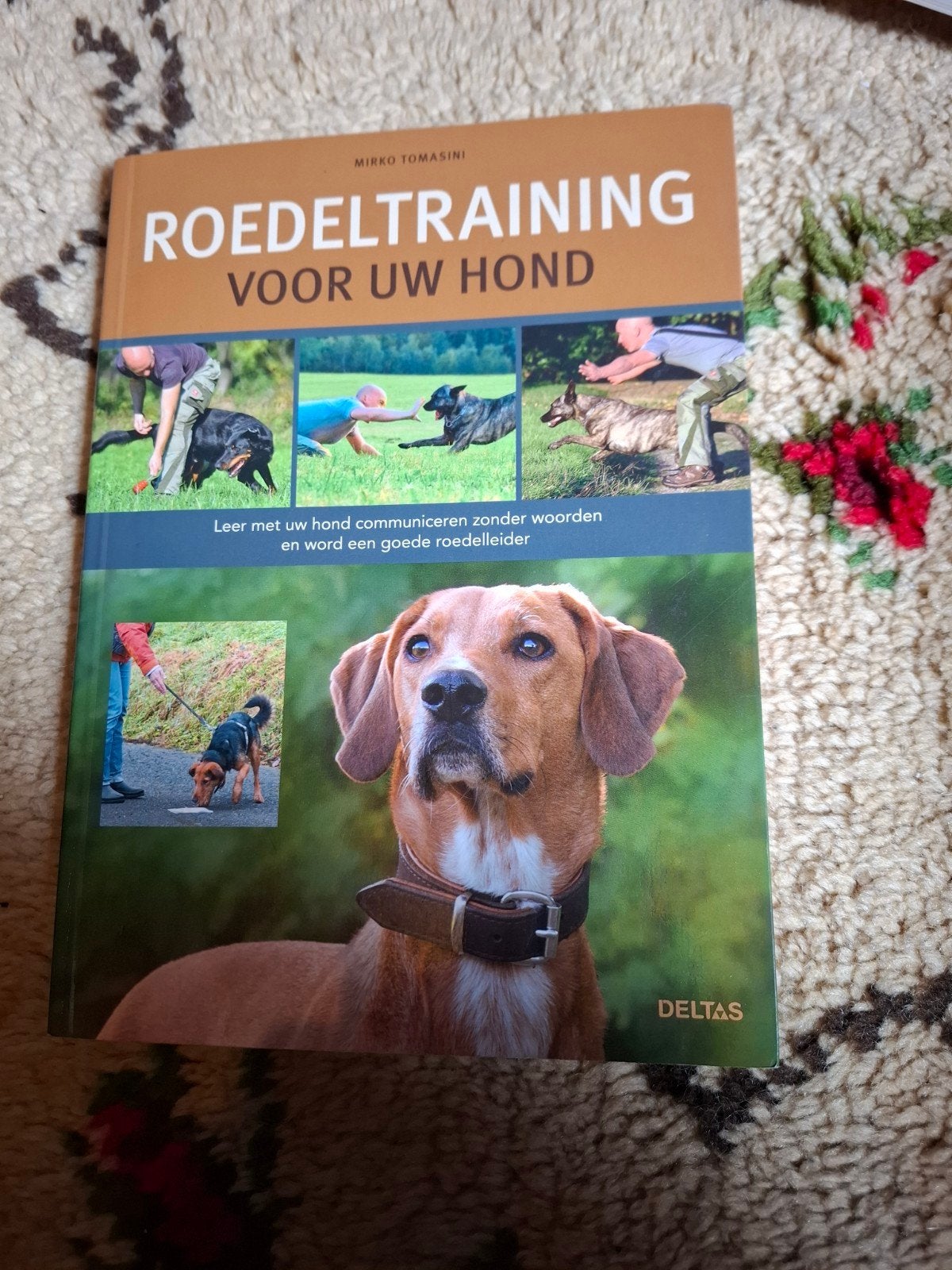 Roedeltraining voor uw hond - Mirko Tomasini, Ophalen of Verzenden, Gelezen, Honden, Mirko Tomasini