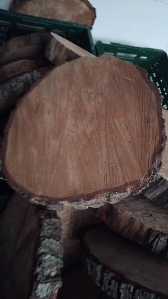 houtschijven boomschijven doorsnee 27 cm, Ophalen