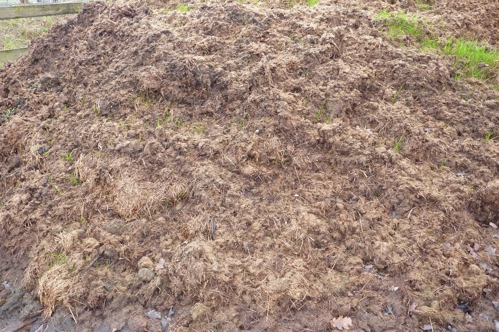 Paardenmest gratis afhalen tuinmest rozenmest., Tuin en Terras, Ophalen, Compost