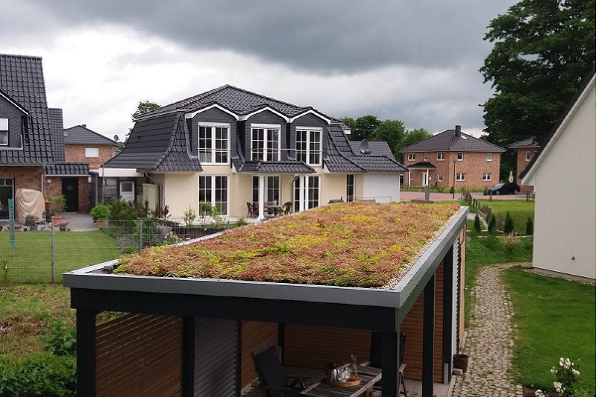 Sedum voor uw dak – Levering én aanleg mogelijk!, Ophalen of Verzenden, Nieuw