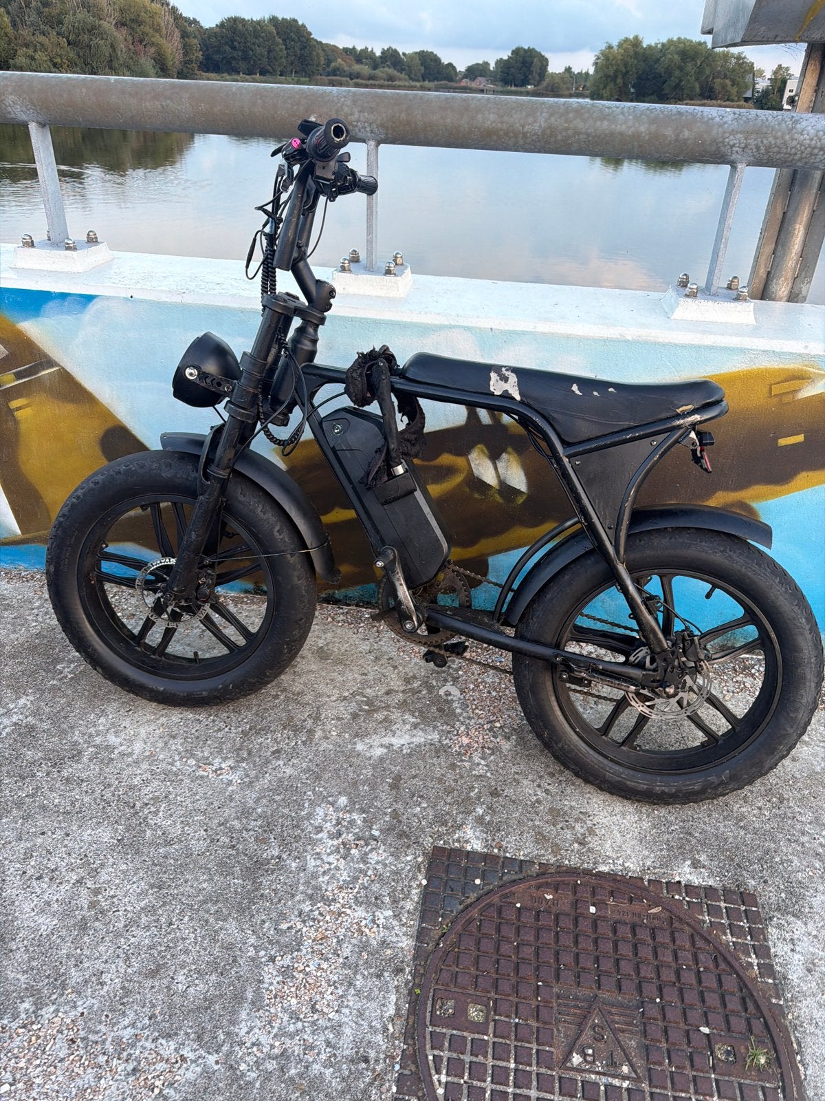 C80 E-bike - Werkt goed, lamp en toeter is kapot, Ophalen, Gebruikt, Minder dan 30 km per accu, Overige merken
