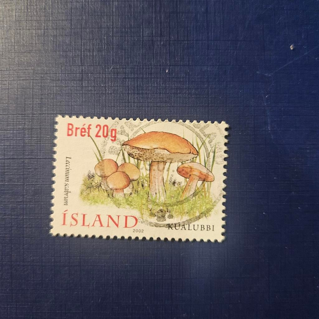 IJsland nr 1000, Ophalen of Verzenden, IJsland, Gestempeld