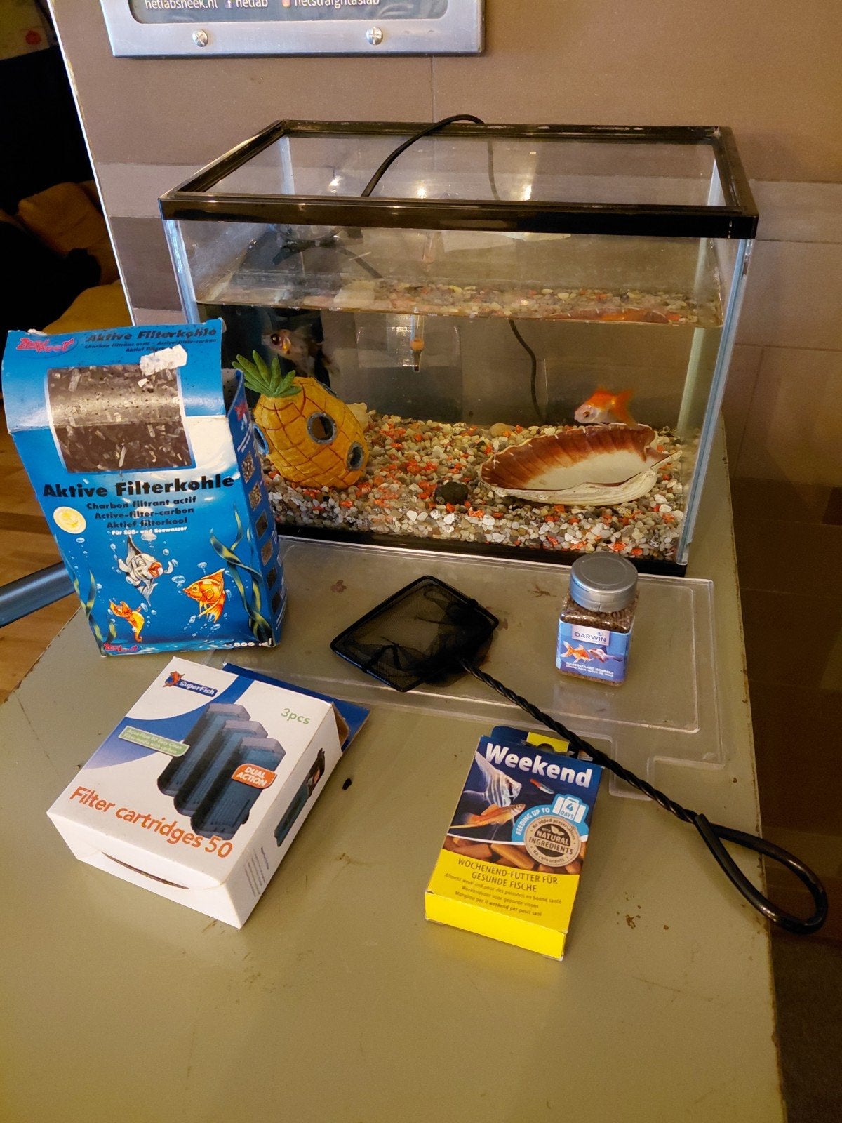 compleet klein aquarium met twee vissen, Dieren en Toebehoren, Aquaforest, Vijveraanleg 22, Aquaforrest, Zo goed als nieuw