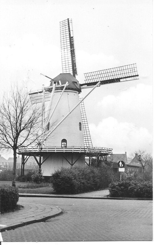 Ansichtkaart Korenmolen De Witte Molen Rilland-Bath 1975, Ophalen of Verzenden, 1960 tot 1980, Ongelopen, Zeeland