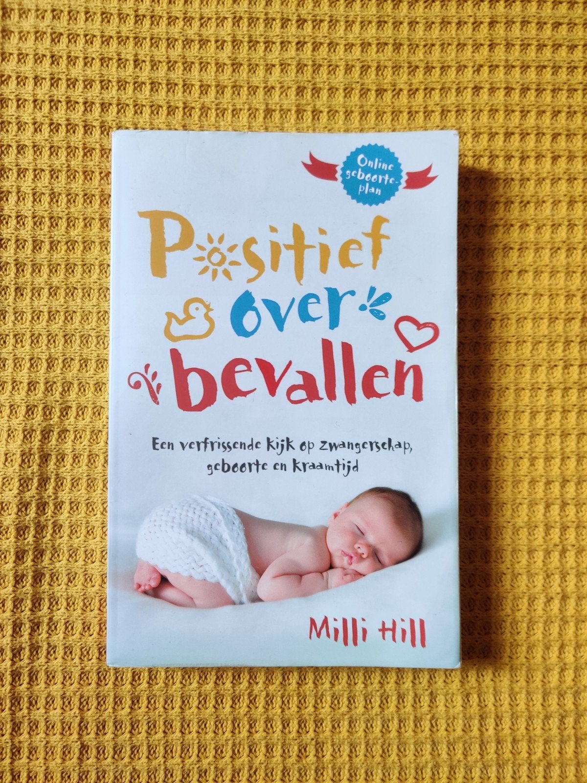 Boek: Positief over bevallen - Milli Hill, Boeken, Ophalen of Verzenden, Gelezen, Zwangerschap en Bevalling, Hill