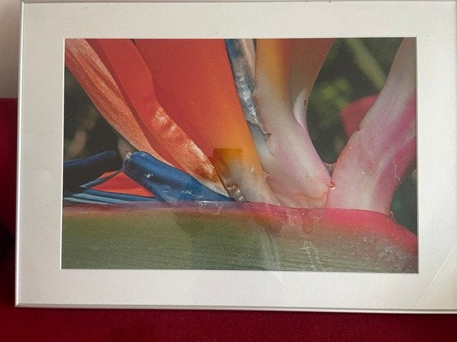 foto in lijst, Ophalen, 50 – 75, Oorspronkelijke maker, Nieuw
