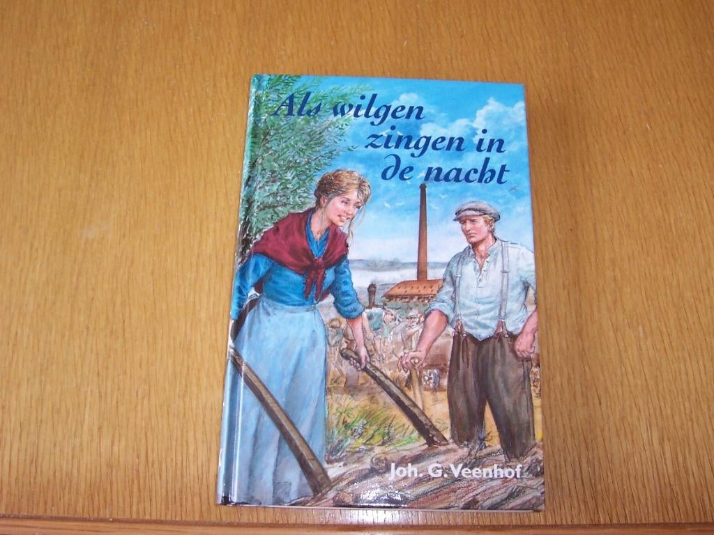 Joh G Veenhof Als wilgen zingen in de nacht, Boeken, Ophalen of Verzenden, Zo goed als nieuw