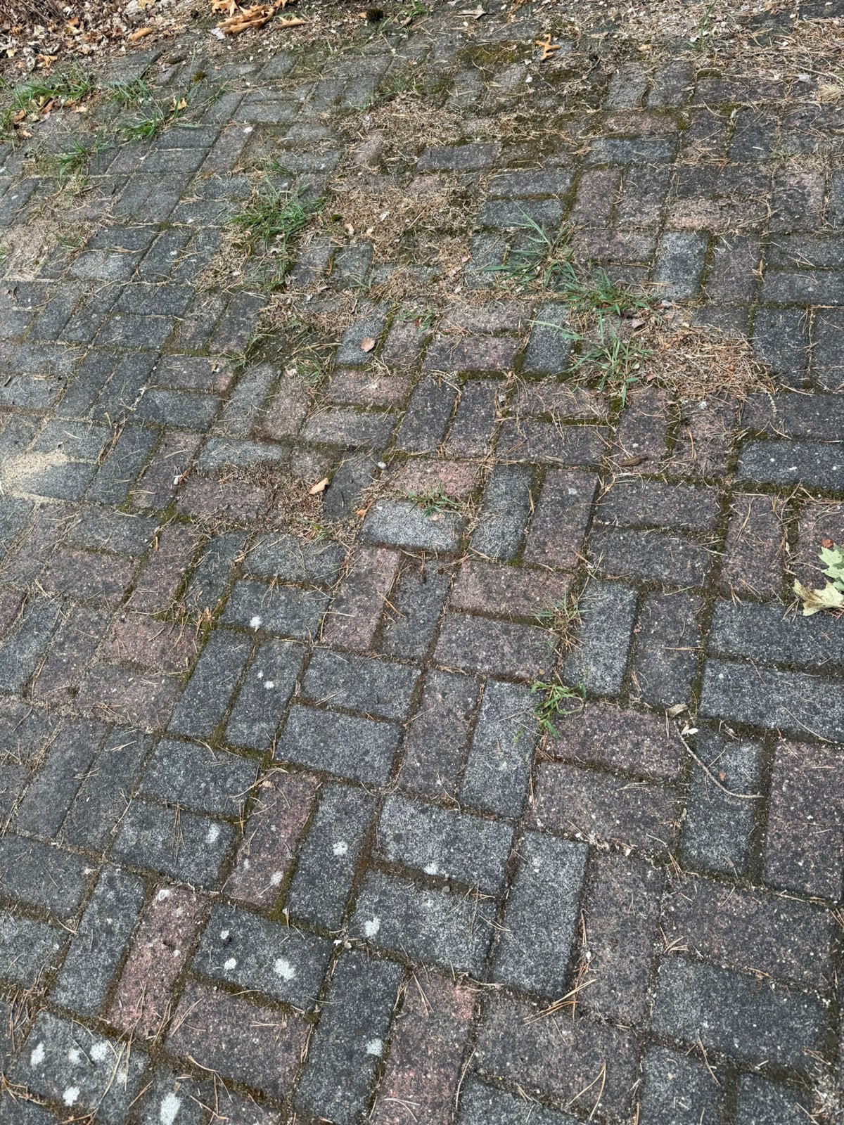 Gratis klinkers, Tuin en Terras, Tegels en Klinkers, Ophalen, Gebruikt, 10 m² of meer, Klinkers
