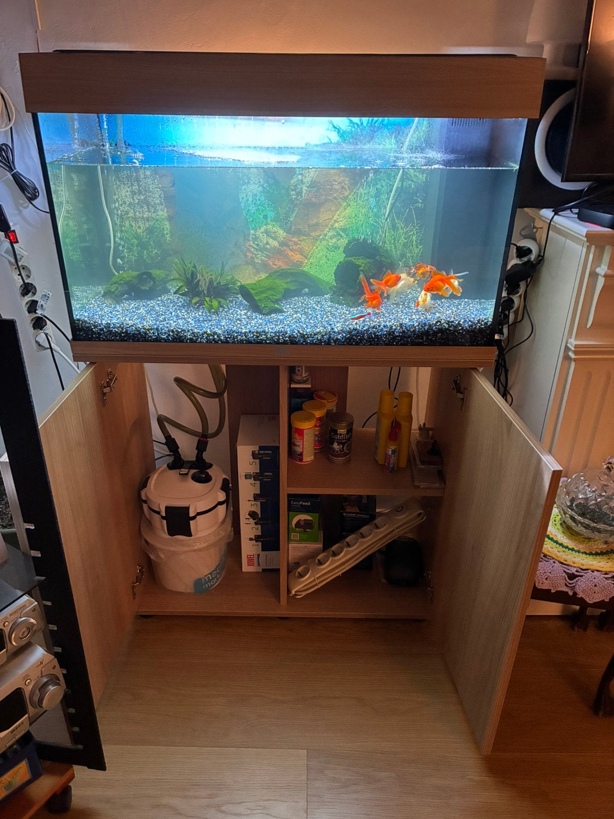 aquarium, Dieren en Toebehoren, Vis