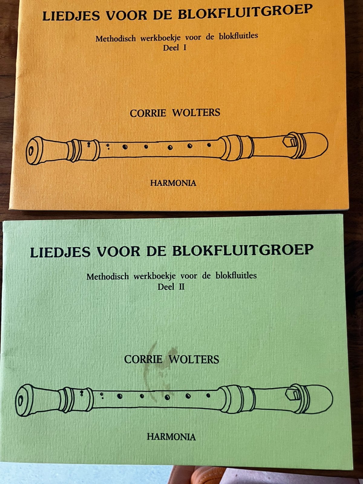 Blokfluit bladmuziek, Ophalen of Verzenden, Zo goed als nieuw, Les of Cursus, Blokfluit